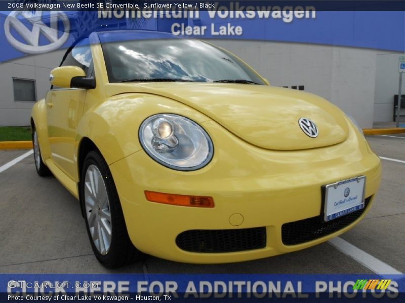 Sunflower Yellow / Black 2008 Volkswagen New Beetle SE Convertible