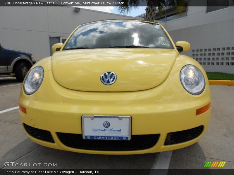 Sunflower Yellow / Black 2008 Volkswagen New Beetle SE Convertible