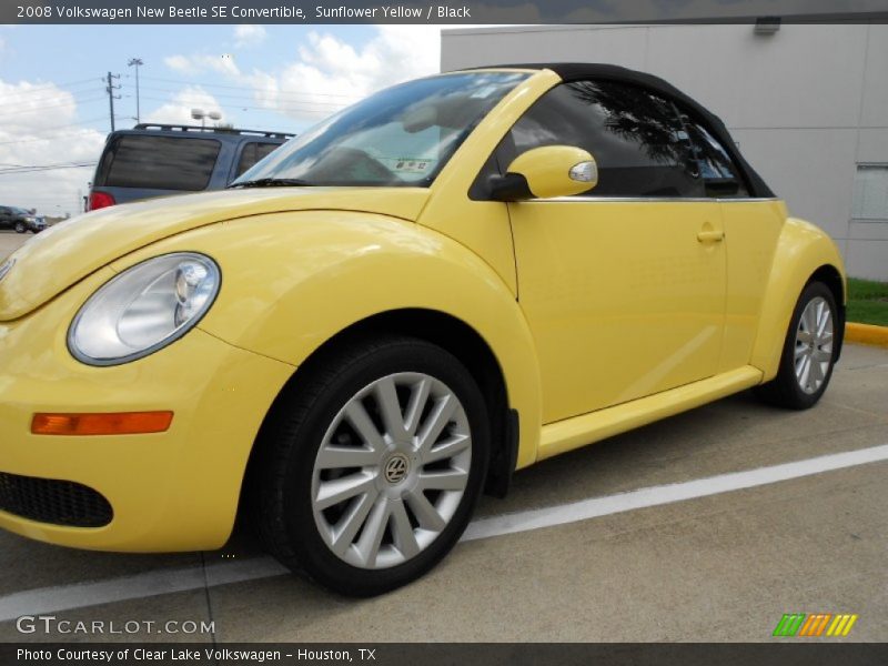 Sunflower Yellow / Black 2008 Volkswagen New Beetle SE Convertible
