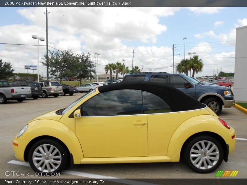 Sunflower Yellow / Black 2008 Volkswagen New Beetle SE Convertible