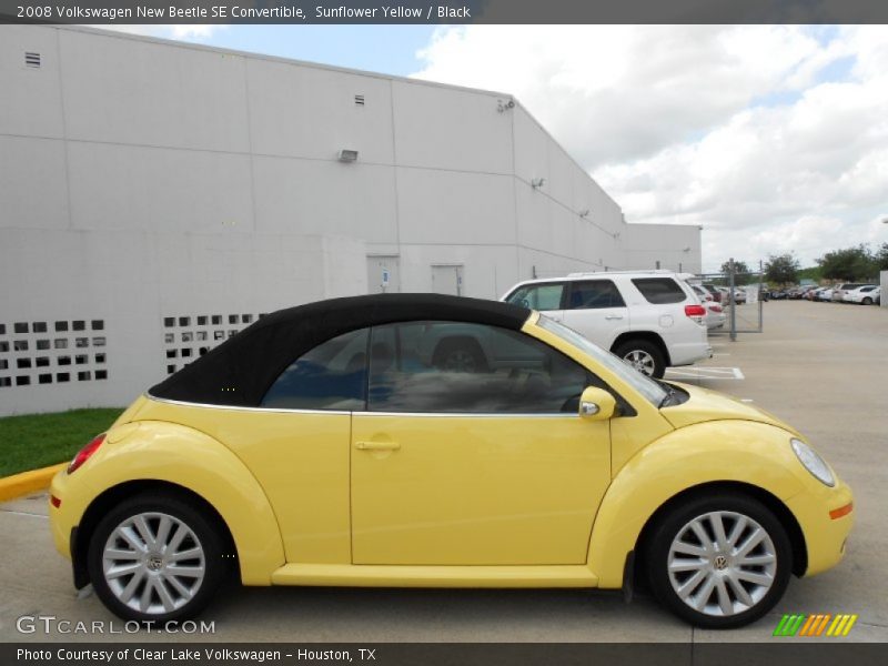 Sunflower Yellow / Black 2008 Volkswagen New Beetle SE Convertible