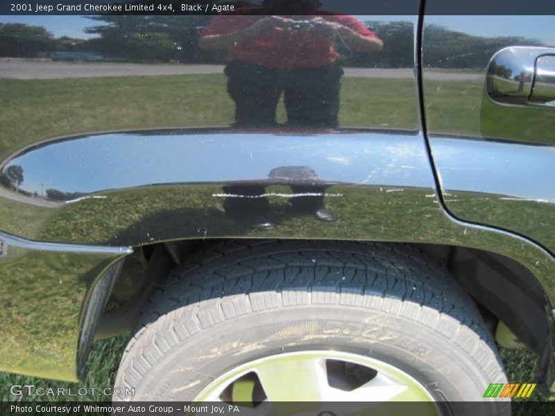 Black / Agate 2001 Jeep Grand Cherokee Limited 4x4