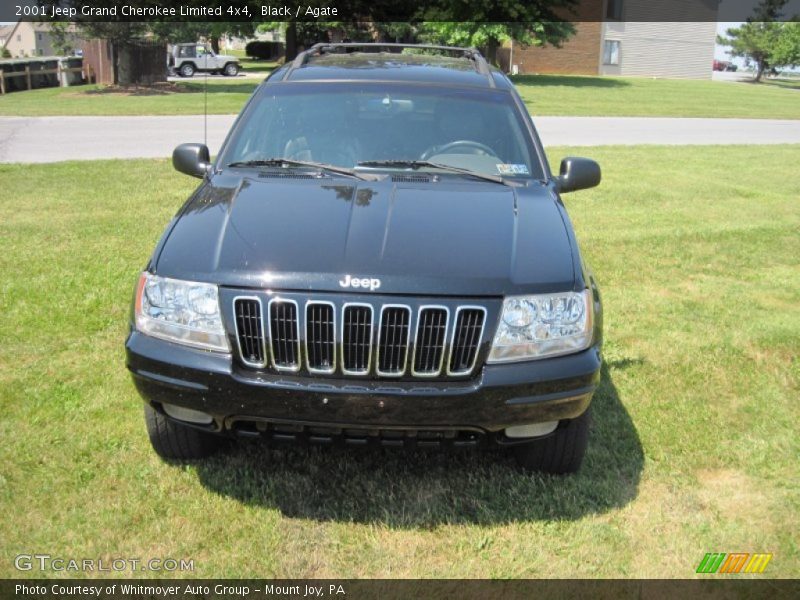 Black / Agate 2001 Jeep Grand Cherokee Limited 4x4