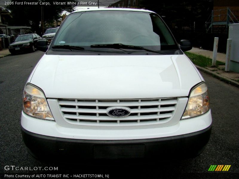 Vibrant White / Flint Grey 2006 Ford Freestar Cargo