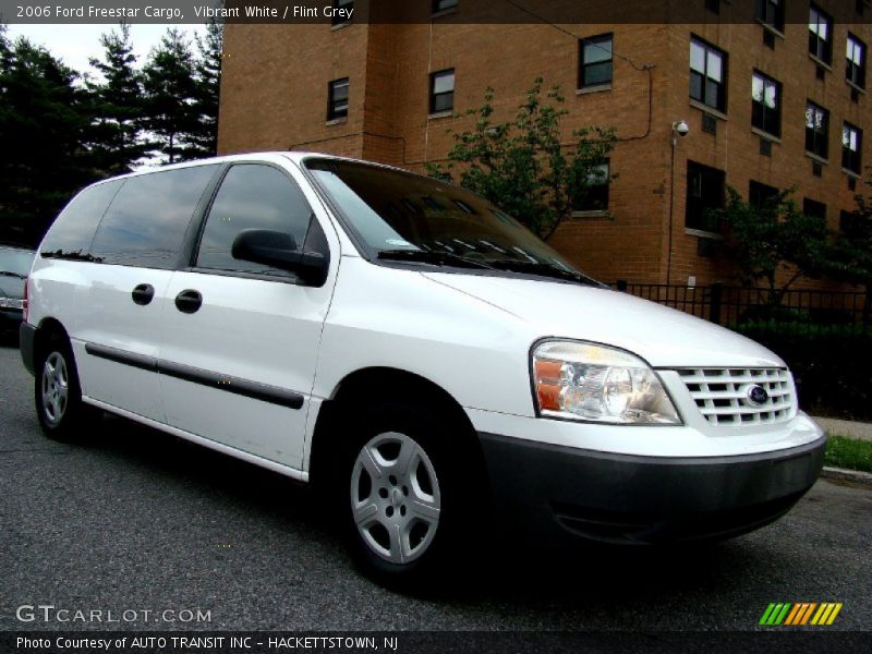 Vibrant White / Flint Grey 2006 Ford Freestar Cargo