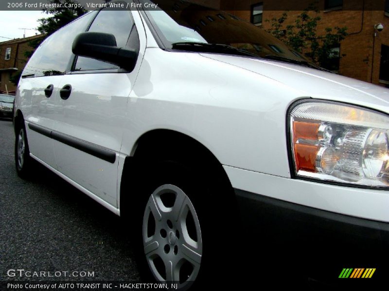 Vibrant White / Flint Grey 2006 Ford Freestar Cargo