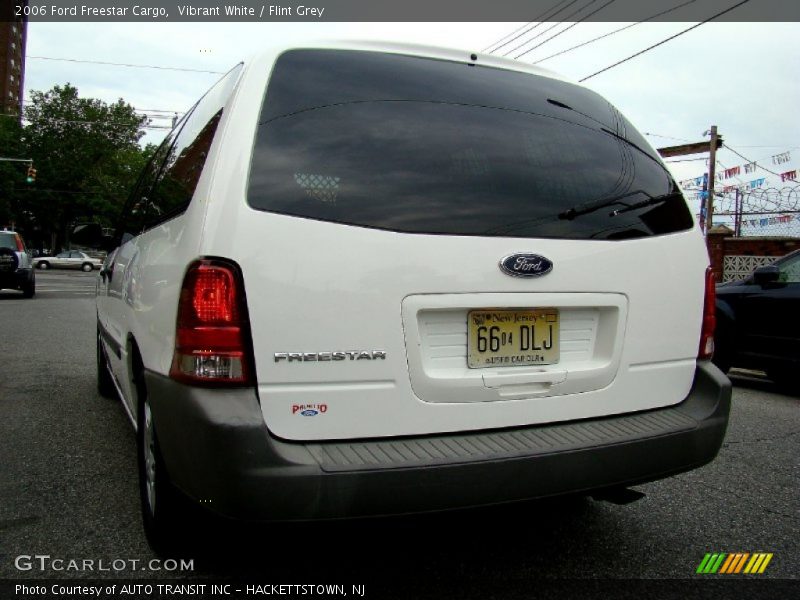 Vibrant White / Flint Grey 2006 Ford Freestar Cargo