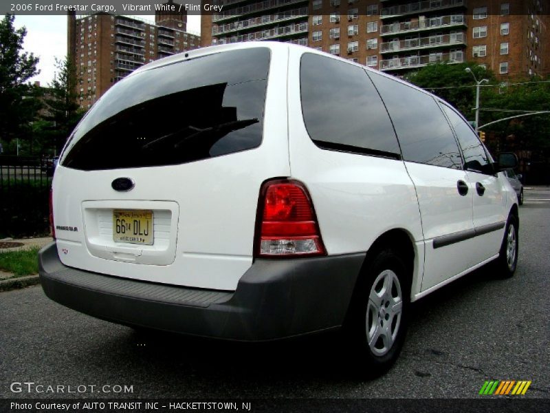 Vibrant White / Flint Grey 2006 Ford Freestar Cargo