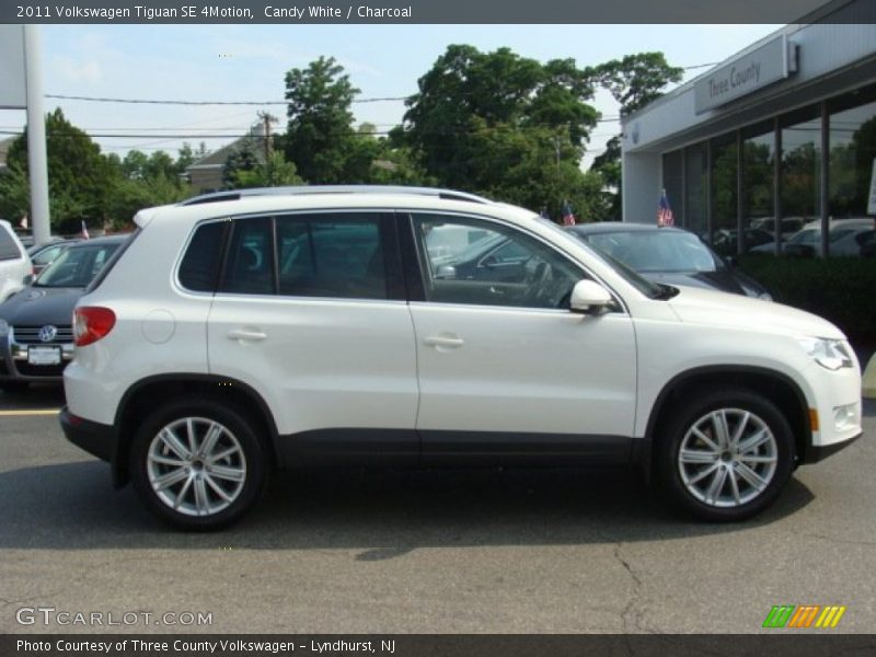 Candy White / Charcoal 2011 Volkswagen Tiguan SE 4Motion