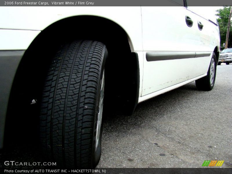 Vibrant White / Flint Grey 2006 Ford Freestar Cargo
