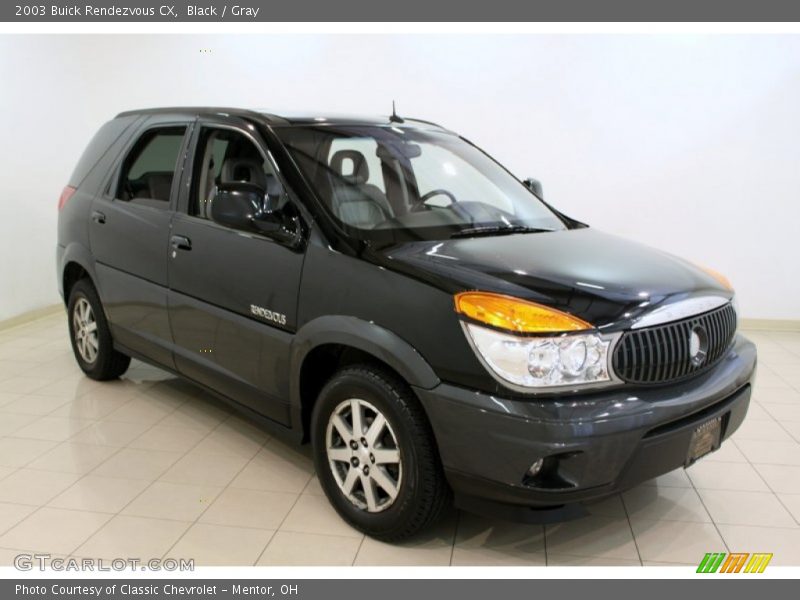 Black / Gray 2003 Buick Rendezvous CX