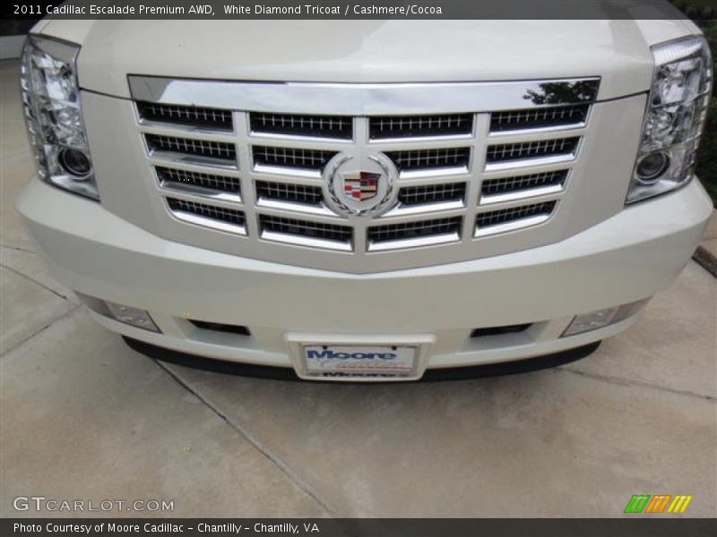 White Diamond Tricoat / Cashmere/Cocoa 2011 Cadillac Escalade Premium AWD