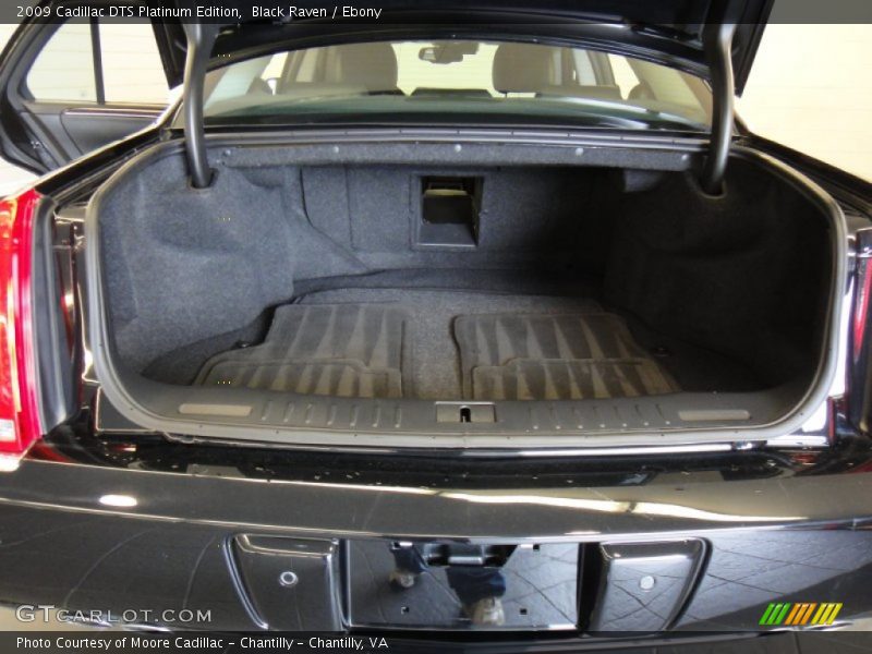  2009 DTS Platinum Edition Trunk