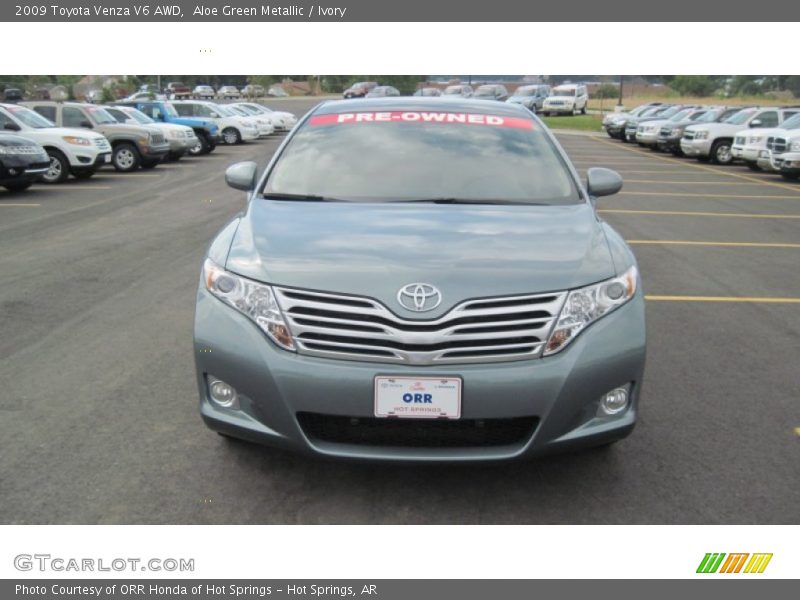 Aloe Green Metallic / Ivory 2009 Toyota Venza V6 AWD