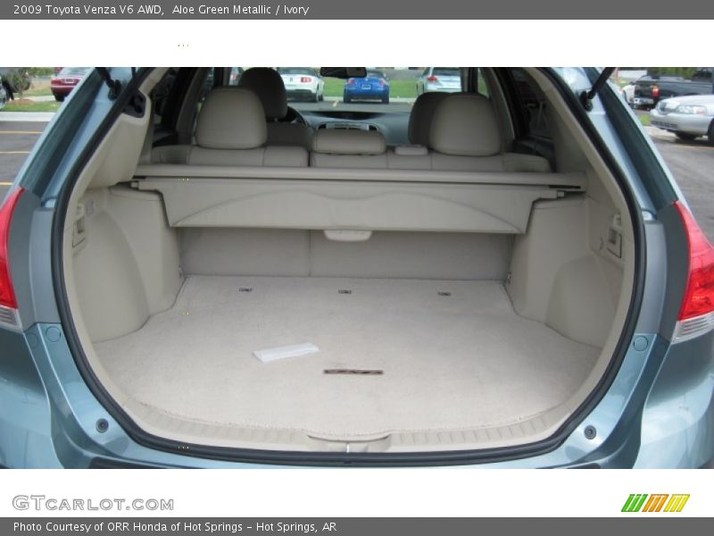Aloe Green Metallic / Ivory 2009 Toyota Venza V6 AWD