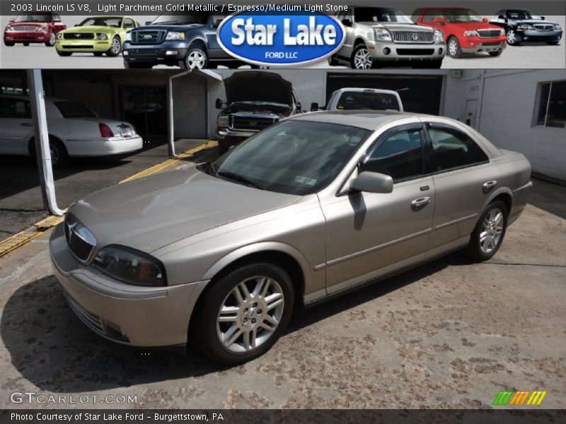 Light Parchment Gold Metallic / Espresso/Medium Light Stone 2003 Lincoln LS V8