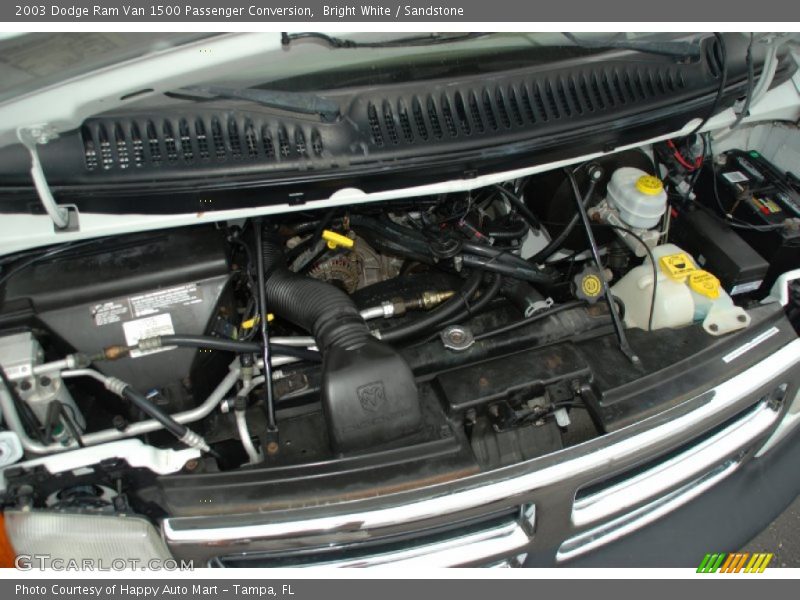 Bright White / Sandstone 2003 Dodge Ram Van 1500 Passenger Conversion