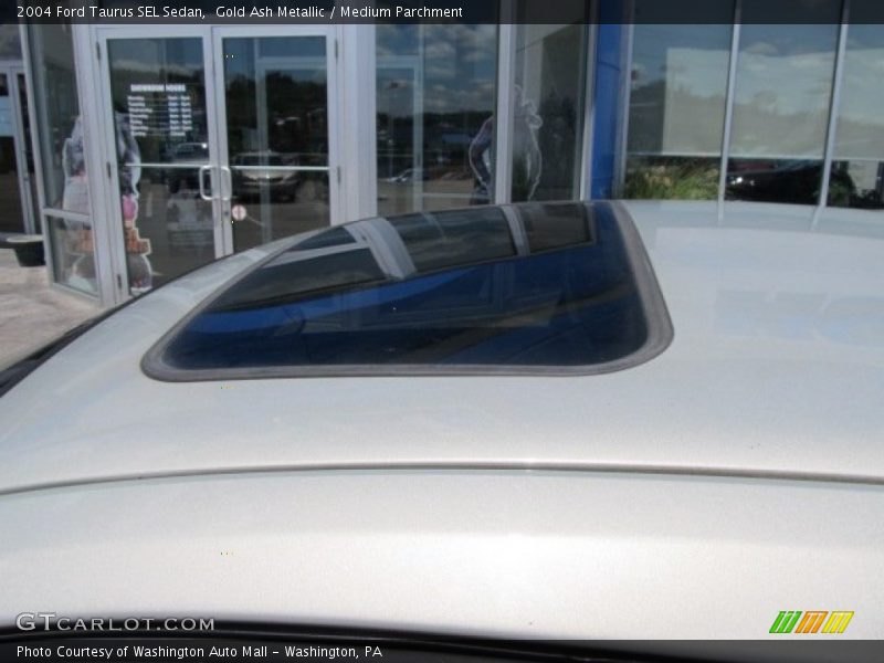 Gold Ash Metallic / Medium Parchment 2004 Ford Taurus SEL Sedan