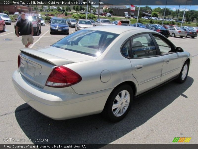 Gold Ash Metallic / Medium Parchment 2004 Ford Taurus SEL Sedan