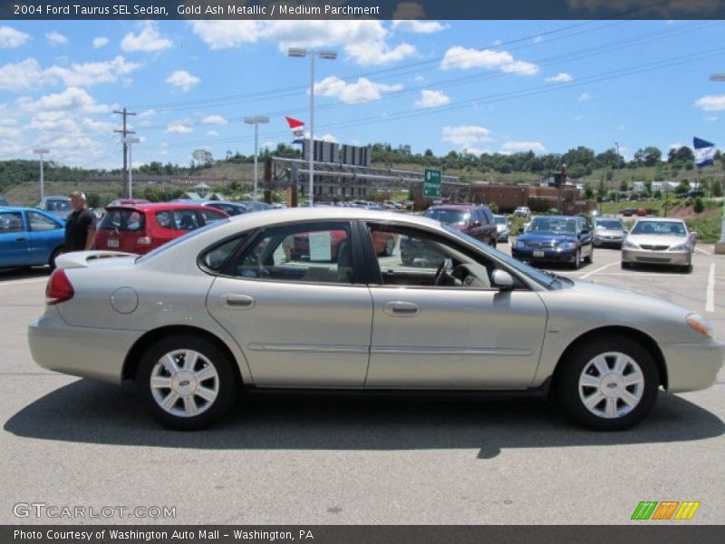 Gold Ash Metallic / Medium Parchment 2004 Ford Taurus SEL Sedan
