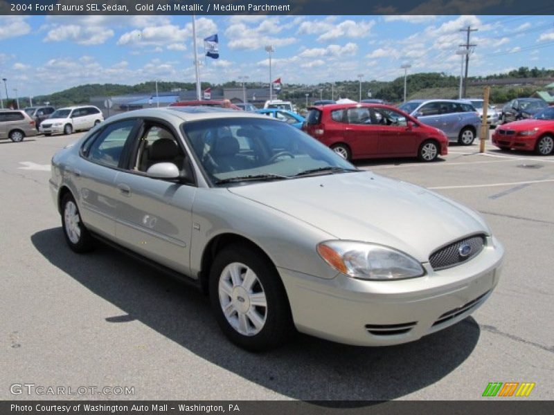 Gold Ash Metallic / Medium Parchment 2004 Ford Taurus SEL Sedan