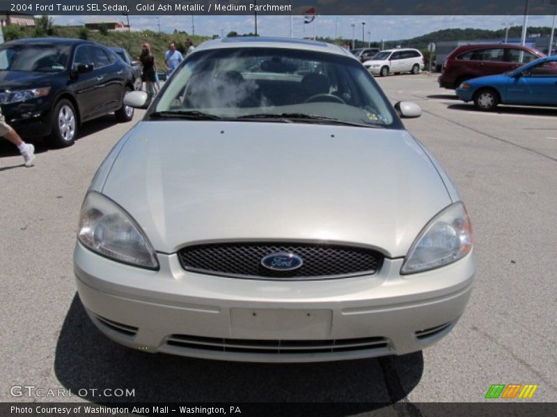 Gold Ash Metallic / Medium Parchment 2004 Ford Taurus SEL Sedan