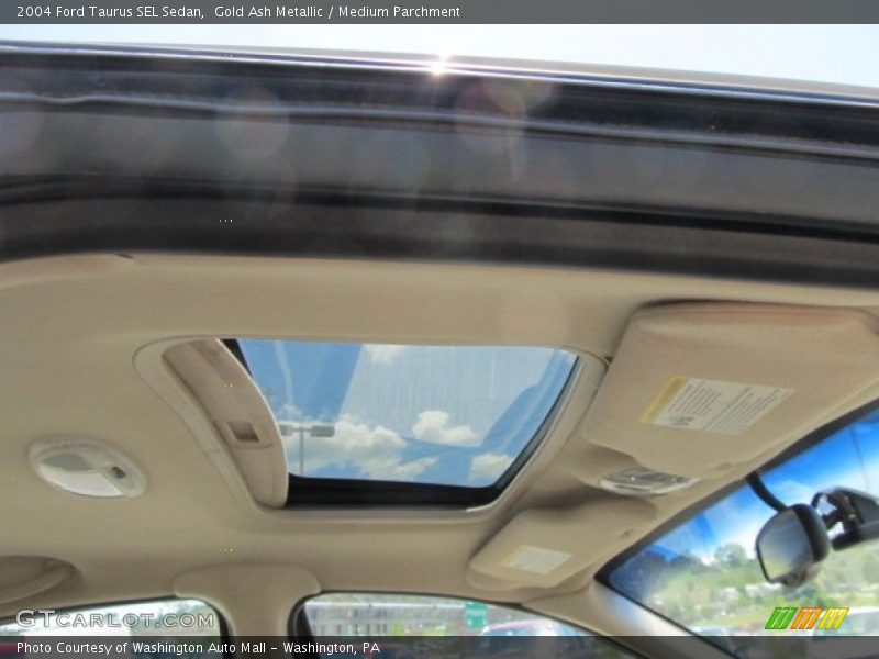 Gold Ash Metallic / Medium Parchment 2004 Ford Taurus SEL Sedan