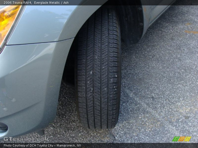 Everglade Metallic / Ash 2006 Toyota RAV4