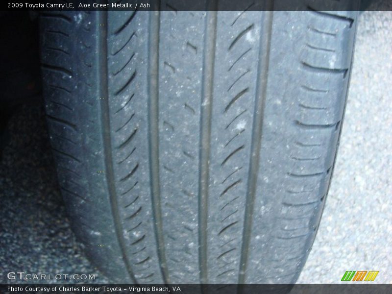 Aloe Green Metallic / Ash 2009 Toyota Camry LE