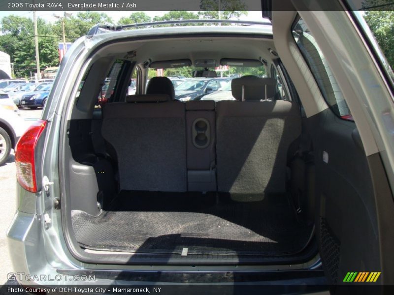 Everglade Metallic / Ash 2006 Toyota RAV4