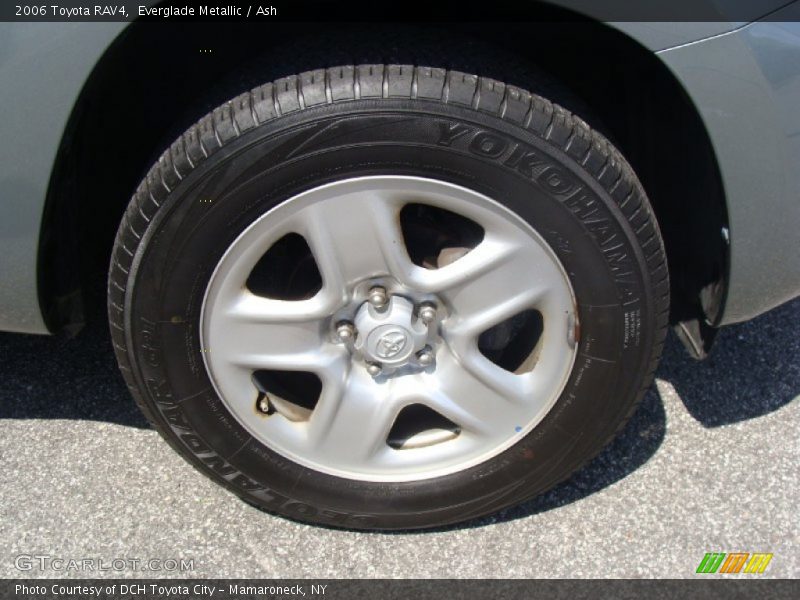 Everglade Metallic / Ash 2006 Toyota RAV4