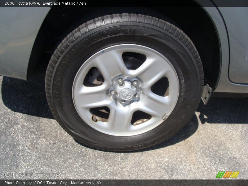 Everglade Metallic / Ash 2006 Toyota RAV4