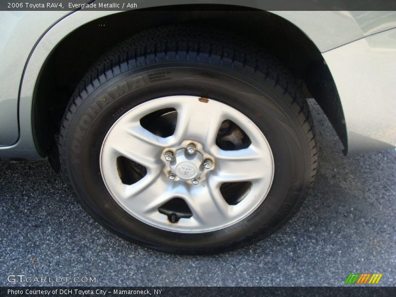 Everglade Metallic / Ash 2006 Toyota RAV4