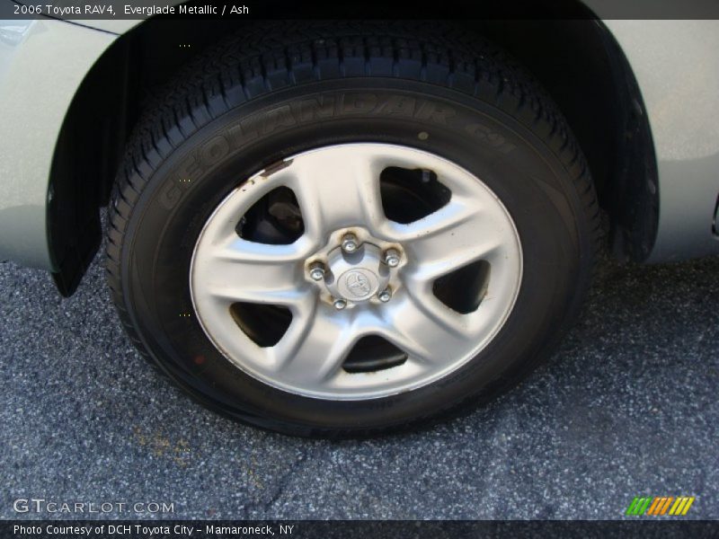 Everglade Metallic / Ash 2006 Toyota RAV4