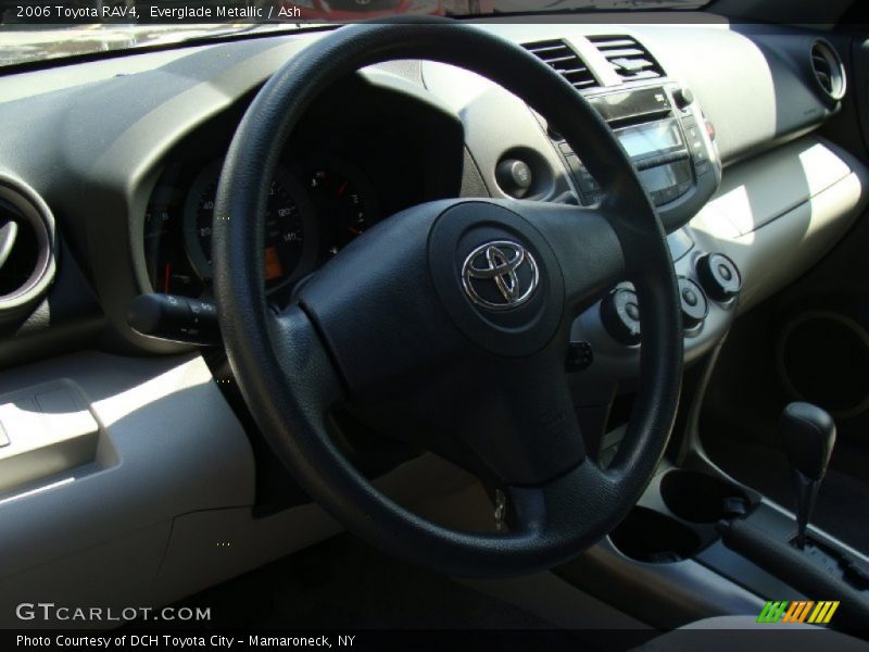 Everglade Metallic / Ash 2006 Toyota RAV4