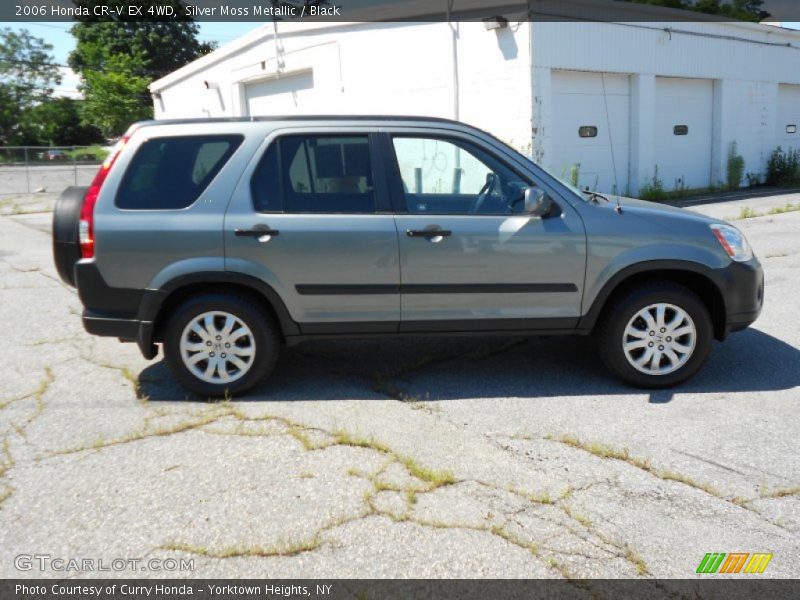 Silver Moss Metallic / Black 2006 Honda CR-V EX 4WD