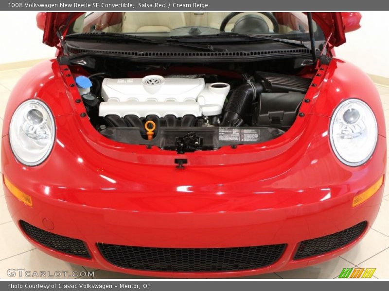 Salsa Red / Cream Beige 2008 Volkswagen New Beetle SE Convertible