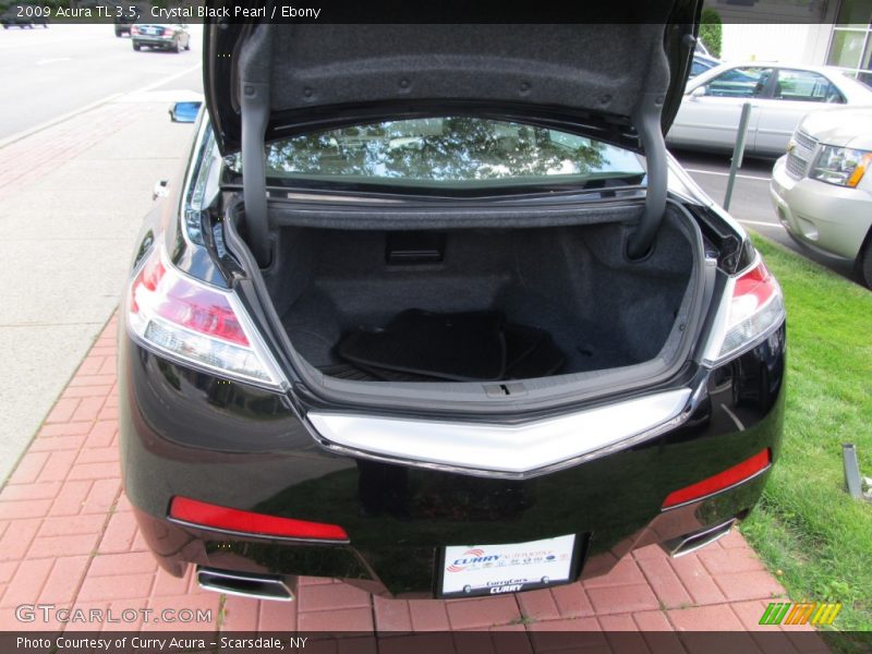 Crystal Black Pearl / Ebony 2009 Acura TL 3.5