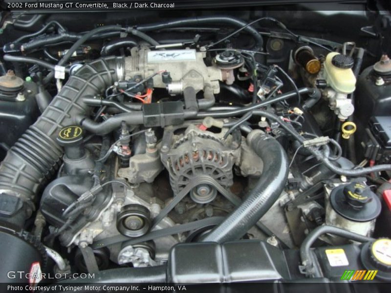 Black / Dark Charcoal 2002 Ford Mustang GT Convertible