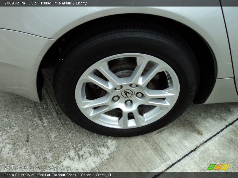 Palladium Metallic / Ebony 2009 Acura TL 3.5