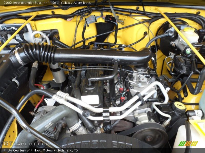 Solar Yellow / Agate Black 2002 Jeep Wrangler Sport 4x4