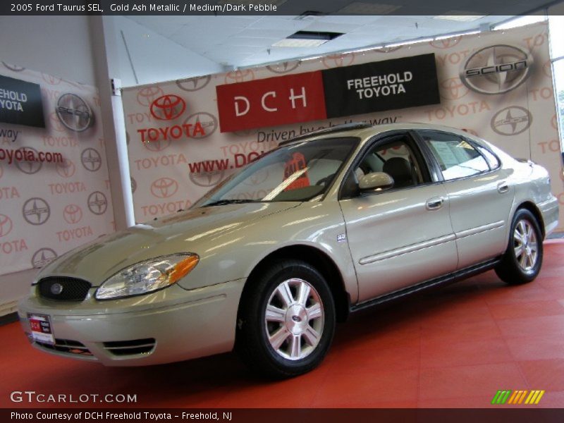 Gold Ash Metallic / Medium/Dark Pebble 2005 Ford Taurus SEL