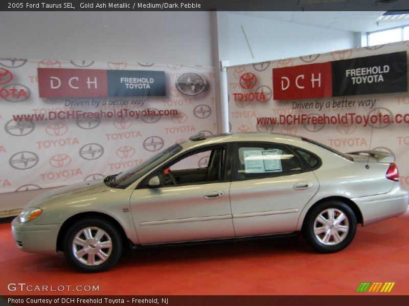 Gold Ash Metallic / Medium/Dark Pebble 2005 Ford Taurus SEL