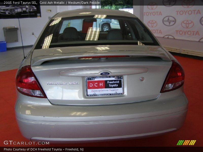 Gold Ash Metallic / Medium/Dark Pebble 2005 Ford Taurus SEL