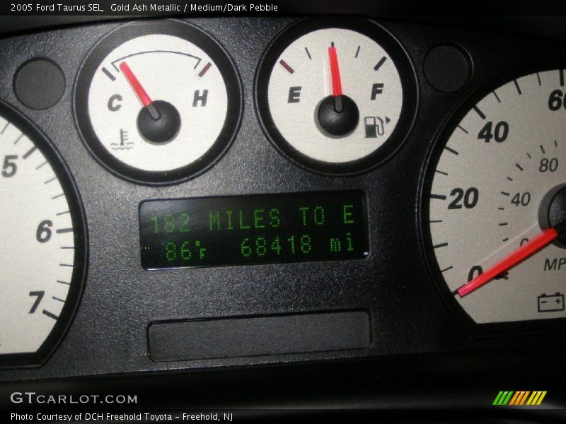 Gold Ash Metallic / Medium/Dark Pebble 2005 Ford Taurus SEL