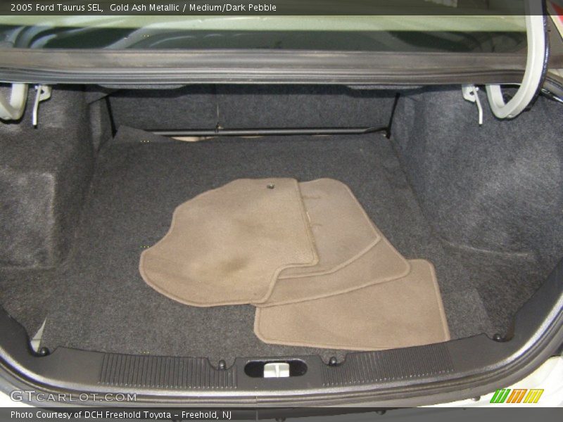 Gold Ash Metallic / Medium/Dark Pebble 2005 Ford Taurus SEL