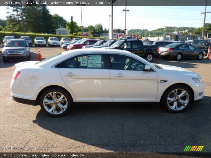  2011 Taurus SHO AWD White Platinum Tri-Coat