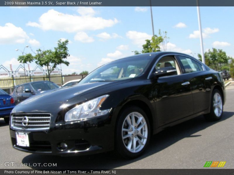 Super Black / Frost Leather 2009 Nissan Maxima 3.5 SV