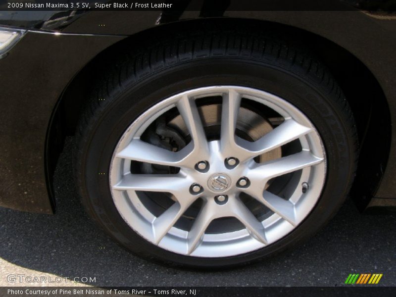 Super Black / Frost Leather 2009 Nissan Maxima 3.5 SV