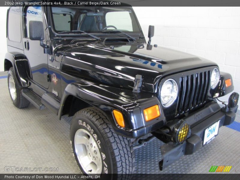 Black / Camel Beige/Dark Green 2002 Jeep Wrangler Sahara 4x4